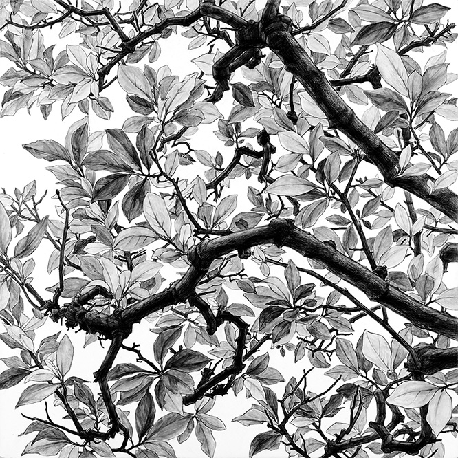 日高理恵子 From Space of trees-g 2001 版画