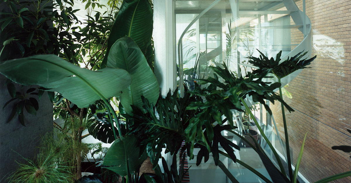 西沢立衛による秘密の展覧会が、写真集で初公開。 | カーサ ブルータス