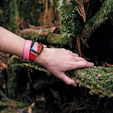 1981 Apple Watch エルメス　クリケ　グリーン　ドゥブルトゥール 1981 Apple Watch エルメス クリケ グリーン ドゥブルトゥール