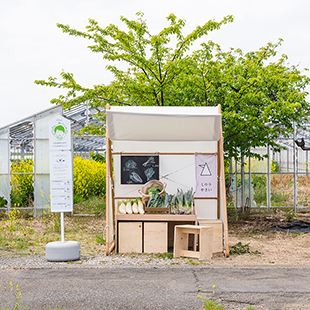 三浦半島に生まれた5棟の小屋。無人直売所が地域を結ぶ“線”を生む 