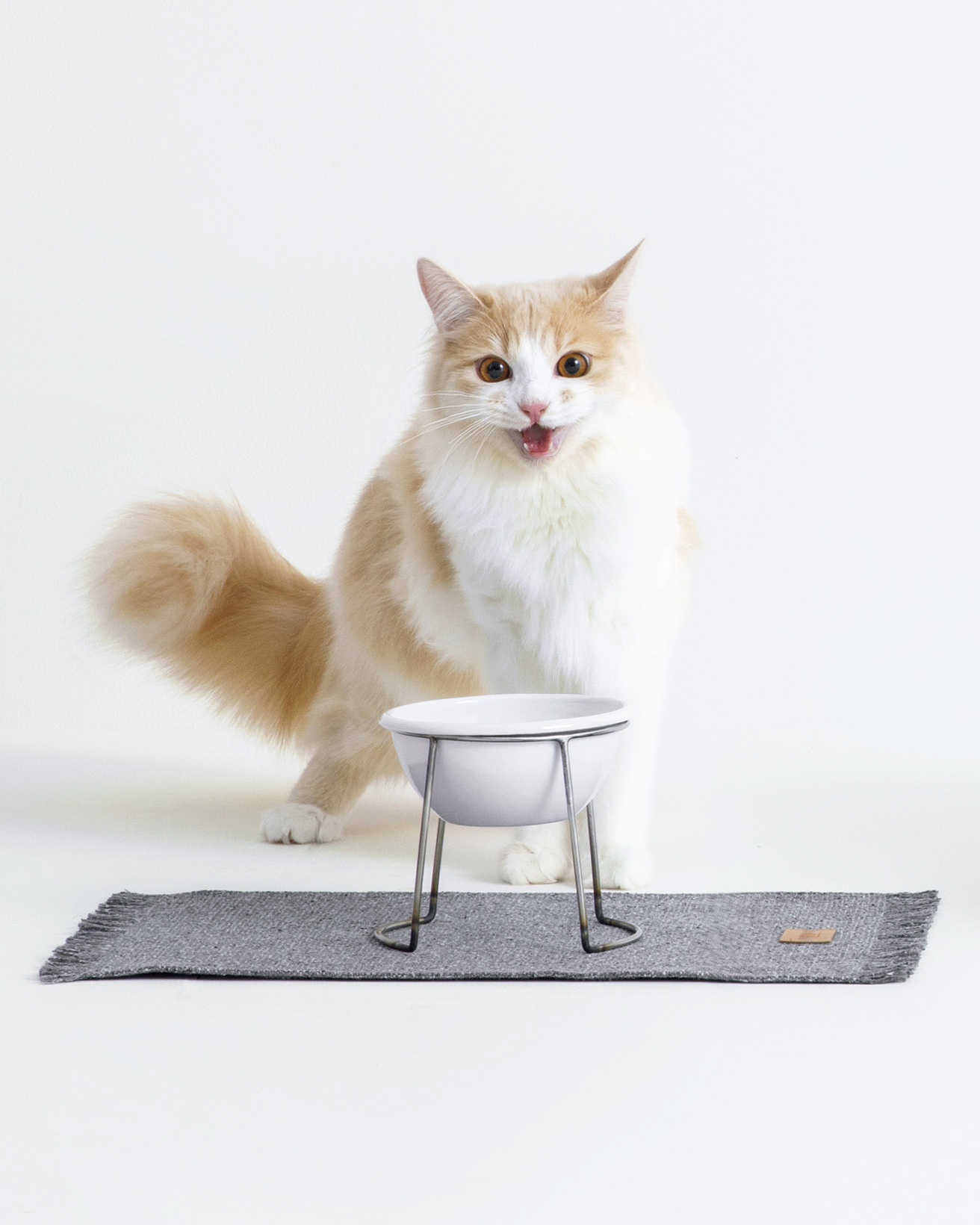 グッドデザインな猫グッズ。｜フードボウル【FOOD BOWL】 | カーサ