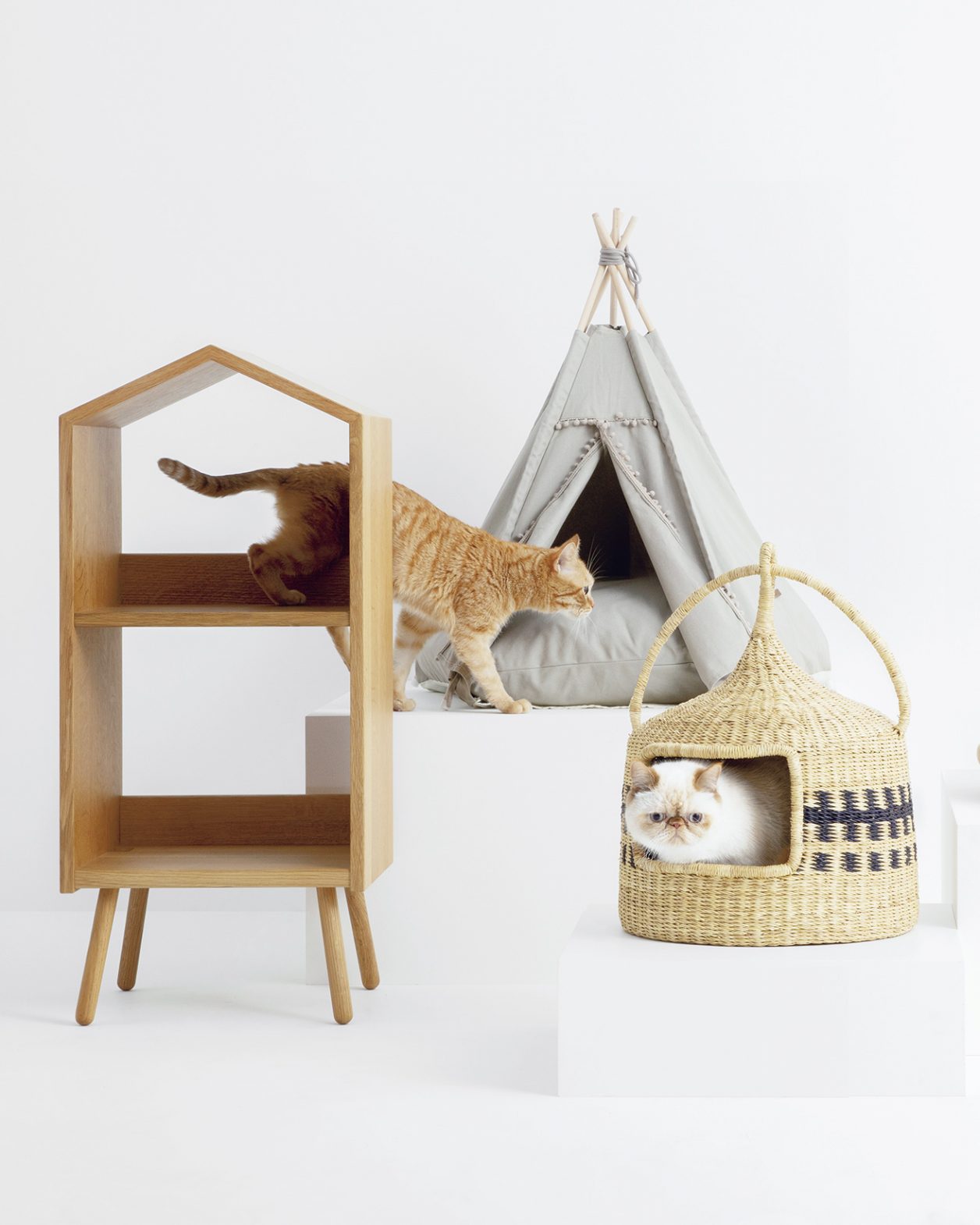 0627catgoods_house_thumbnail- 0627catgoods_house_thumbnail-