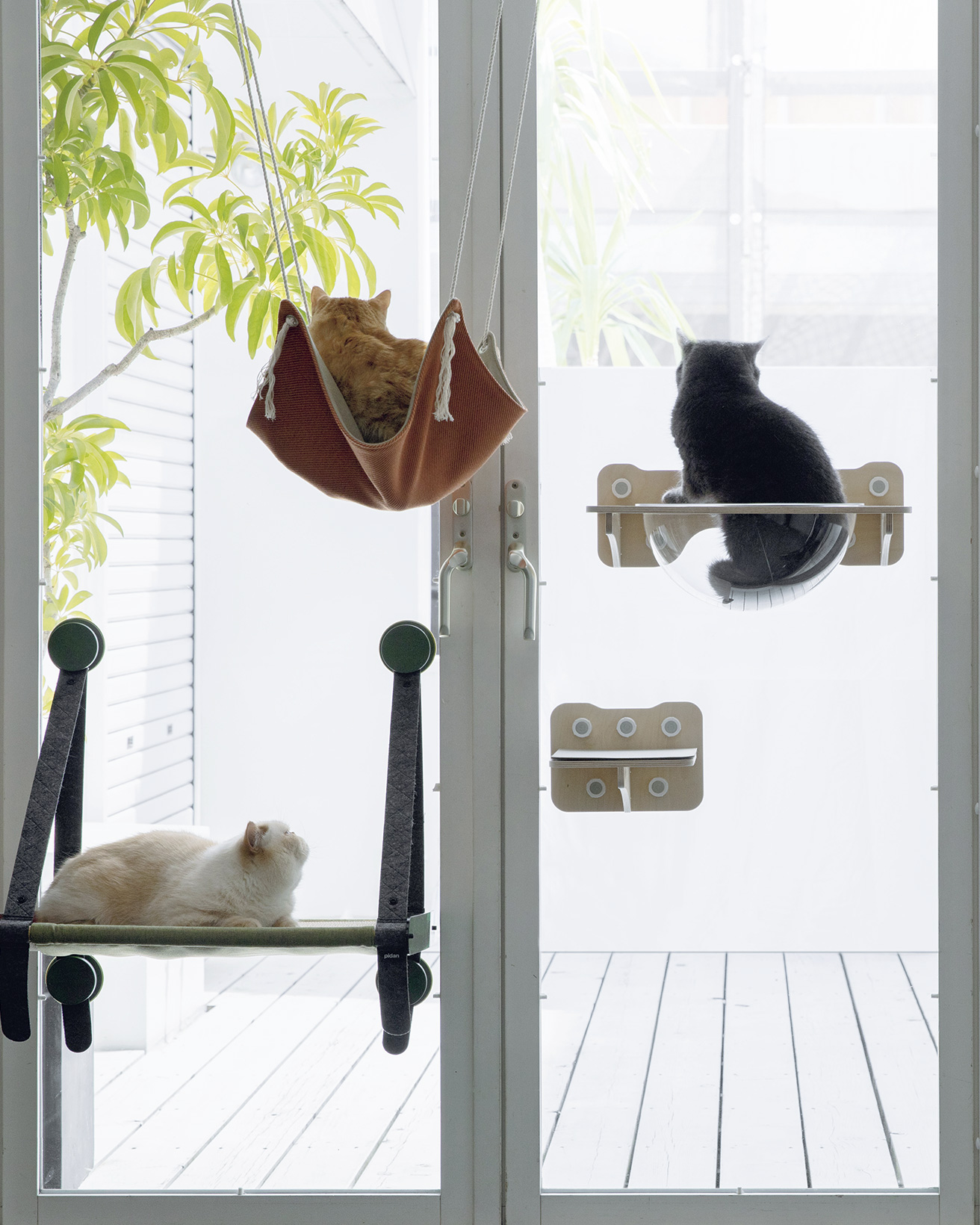 グッドデザインな猫グッズ。|ニャルソック【NYALSOK】 | カーサ グッドデザインな猫グッズ。|ニャルソック【NYALSOK】 | カーサ