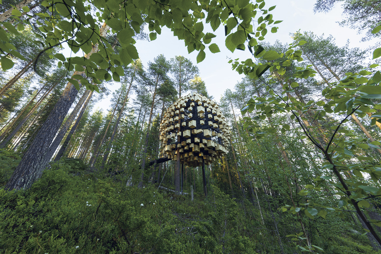 360度バードハウスに囲まれた部屋で、スウェーデンの大自然に没入する。