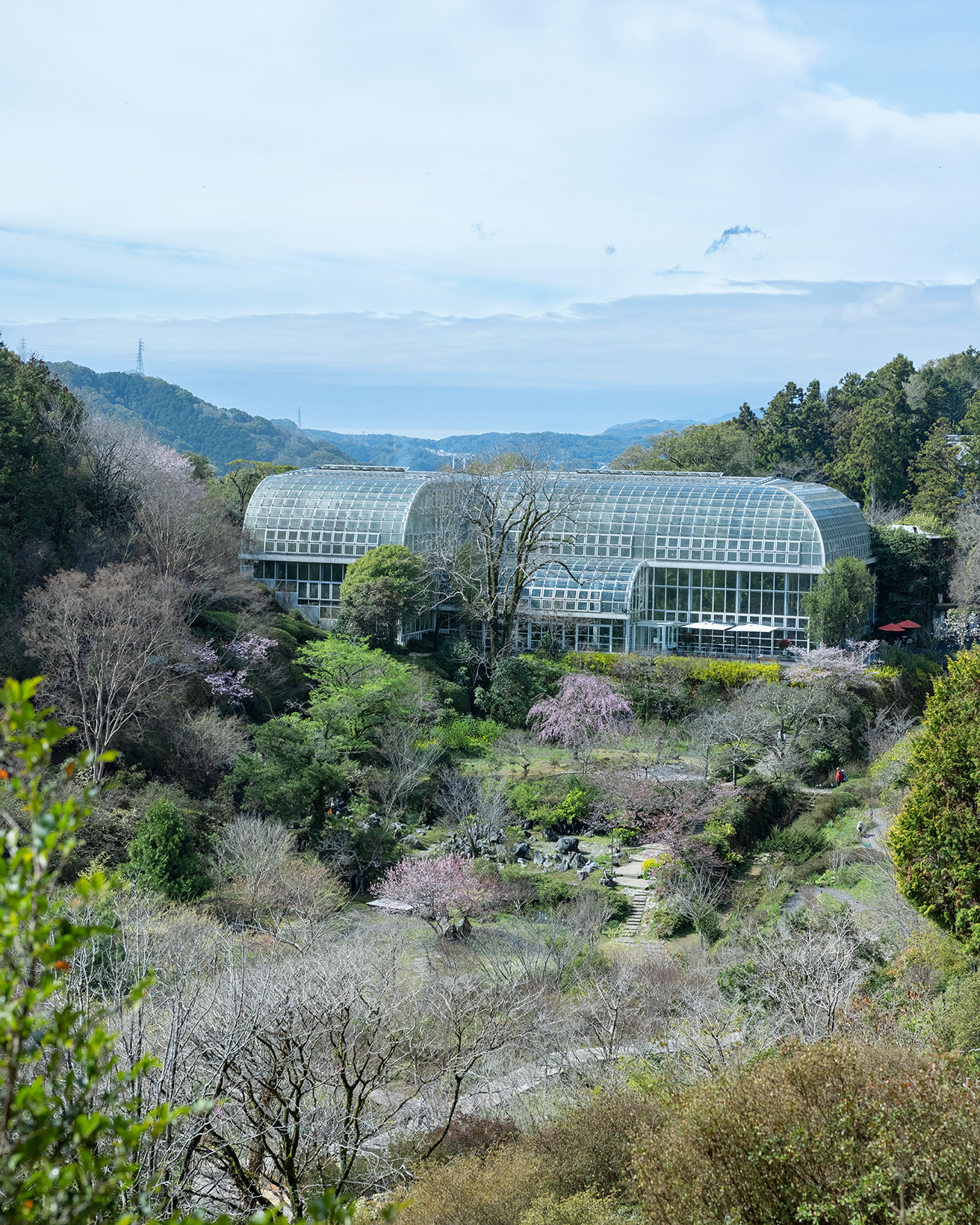 建築×植物の聖地！ 朝ドラ『らんまん』の主人公モデル・牧野富太郎博士