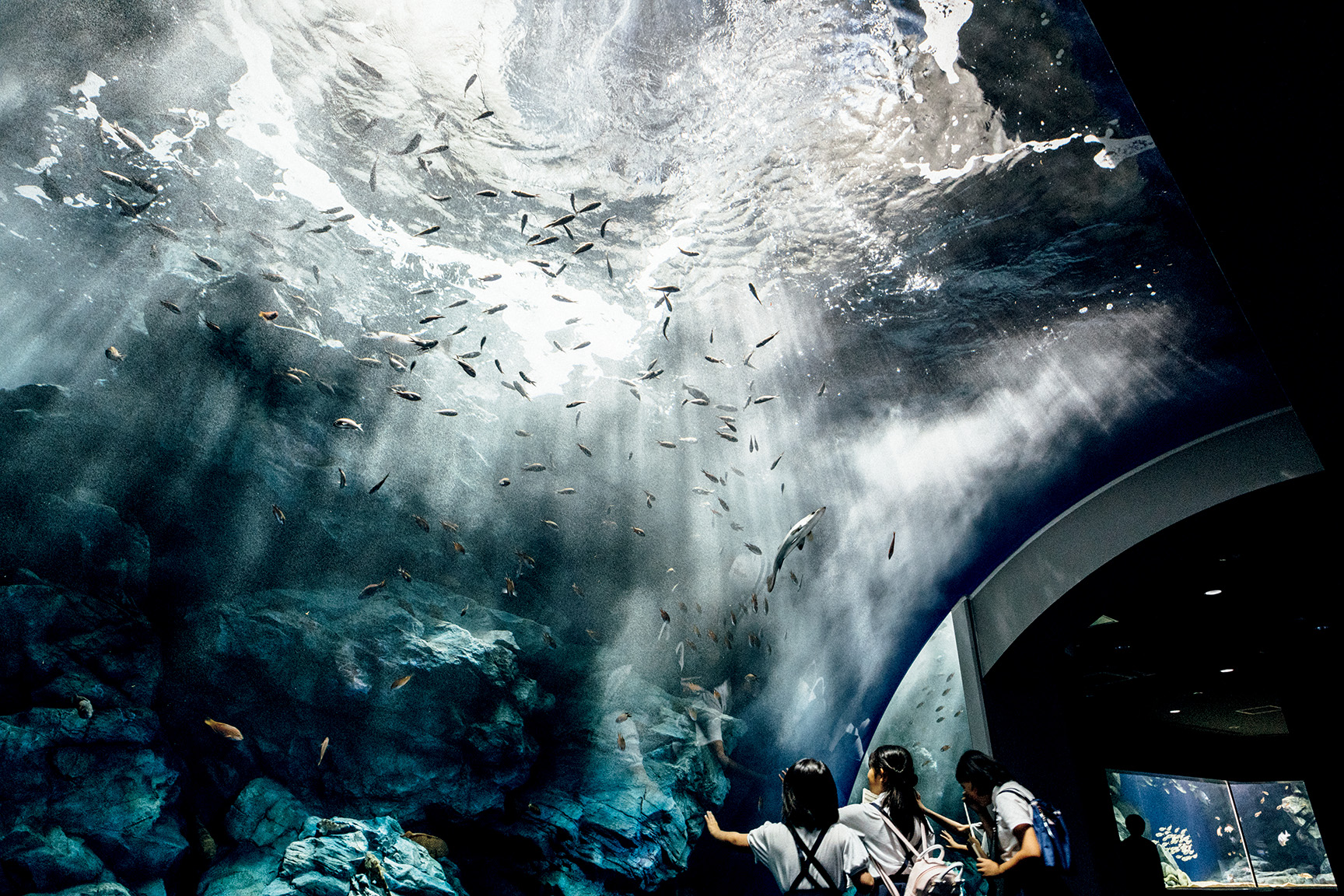 マリンワールド 海の中道 | BEST ZOO & AQUARIUM | カーサ ブルータス