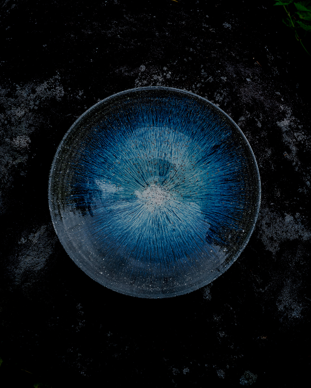 作品数は500点！ 陶芸家・小野象平による個展が〈シボネ〉で開催