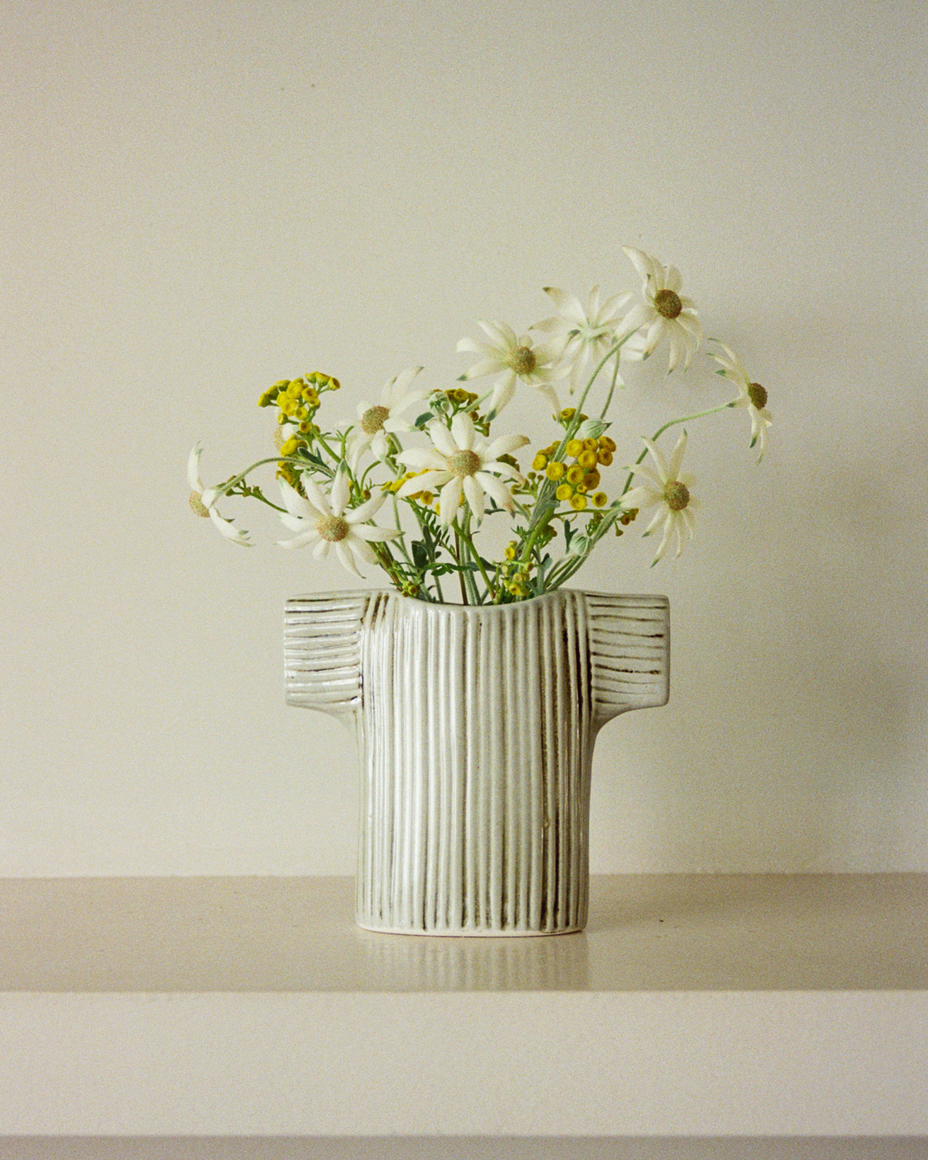 今週の花と器】フランネルフラワーと〈リサ・ラーソン〉の《ワード