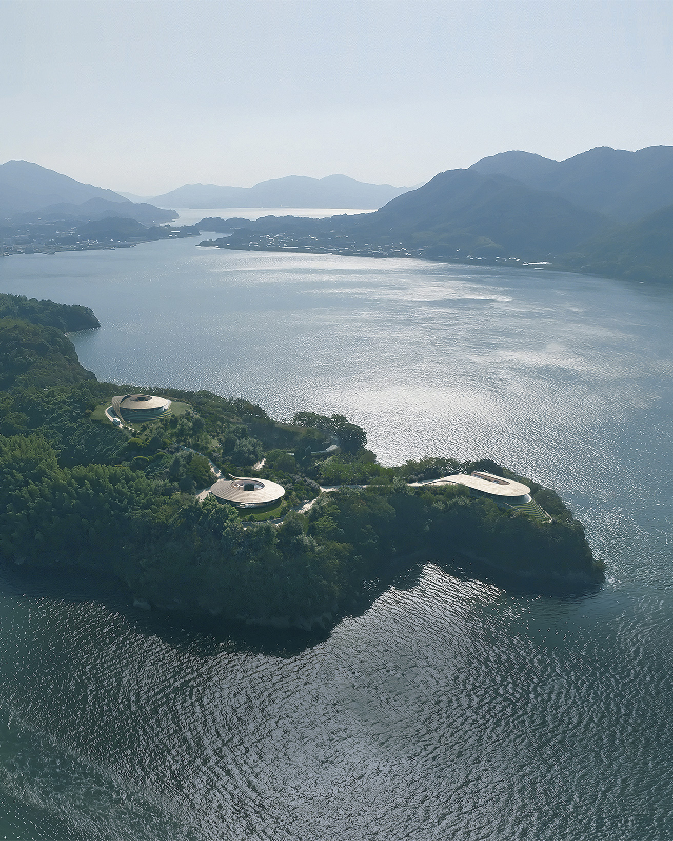 流木(瀬戸内海) 流木販売専門店 山の流木