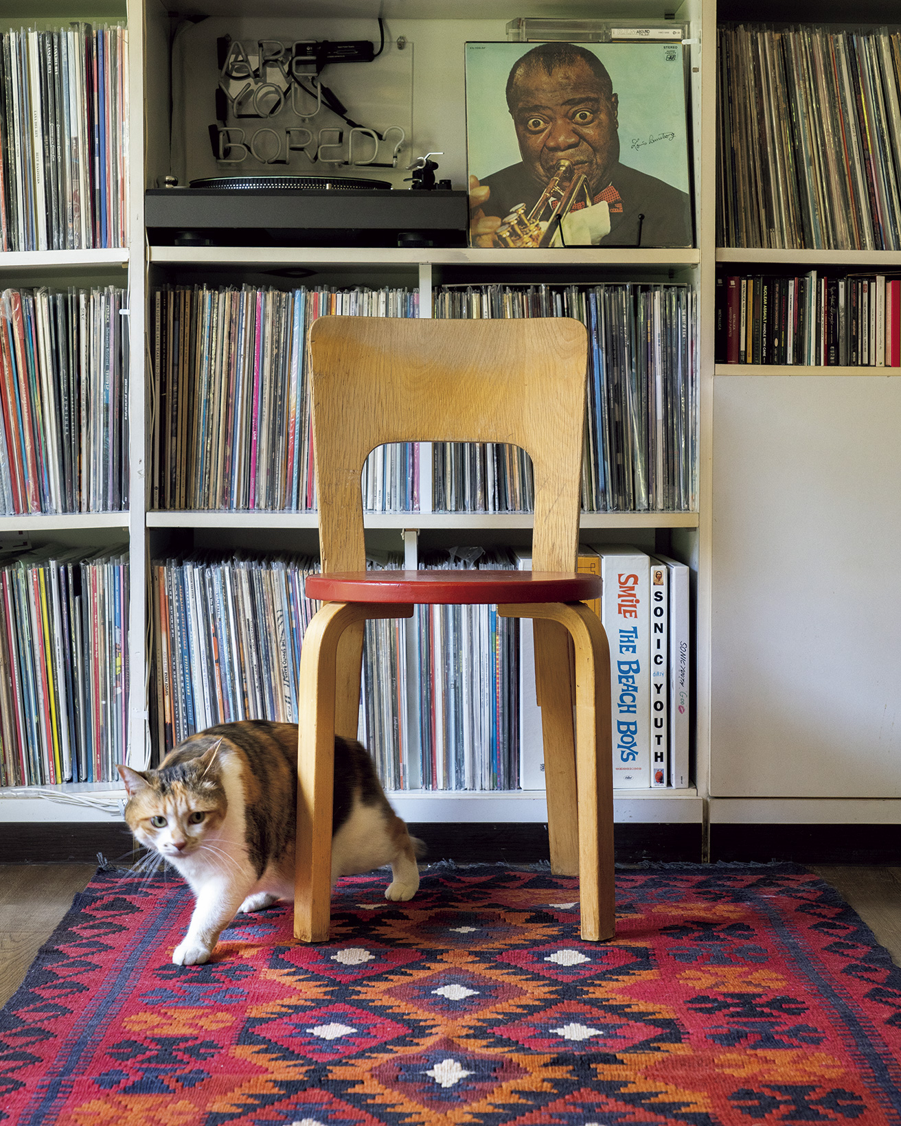 696 アメリカンドリュー 猫脚チェア 2脚セット レザー クラシック 即完売 696 アメリカンドリュー 猫脚チェア 2脚セット レザー クラシック 白b