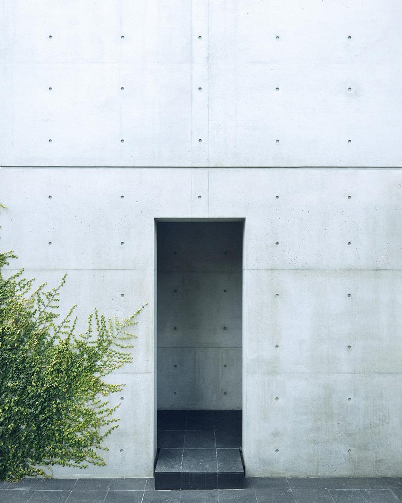 安藤忠雄が“都市に住み続ける”ために生み出した住宅「都市○○○住居