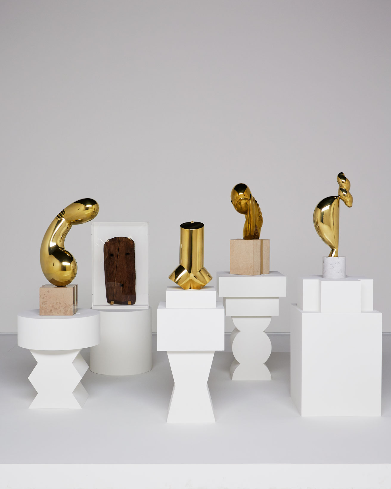 ブランクーシのフォトグラフ - 美の再発見シリーズ Brancusi