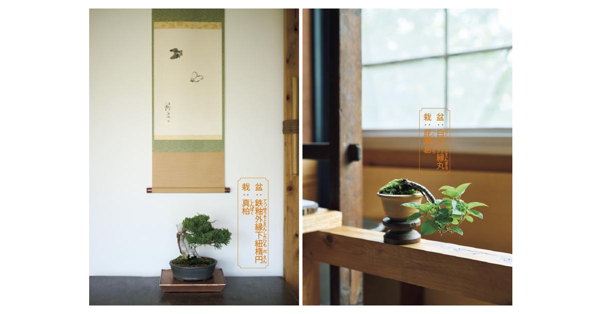盆栽をもっと身近に感じる提案。〈塩津植物研究所〉が2年間撮り溜めた盆栽の数々が書籍に。