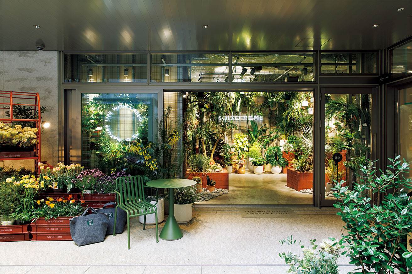 お家を彩るインドアグリーン最旬ショップ4選｜カーサブルータスのお墨付き