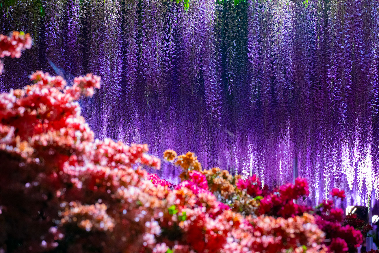 モネと響き合う現代美術を見に、フランス・ノルマンディーへ。