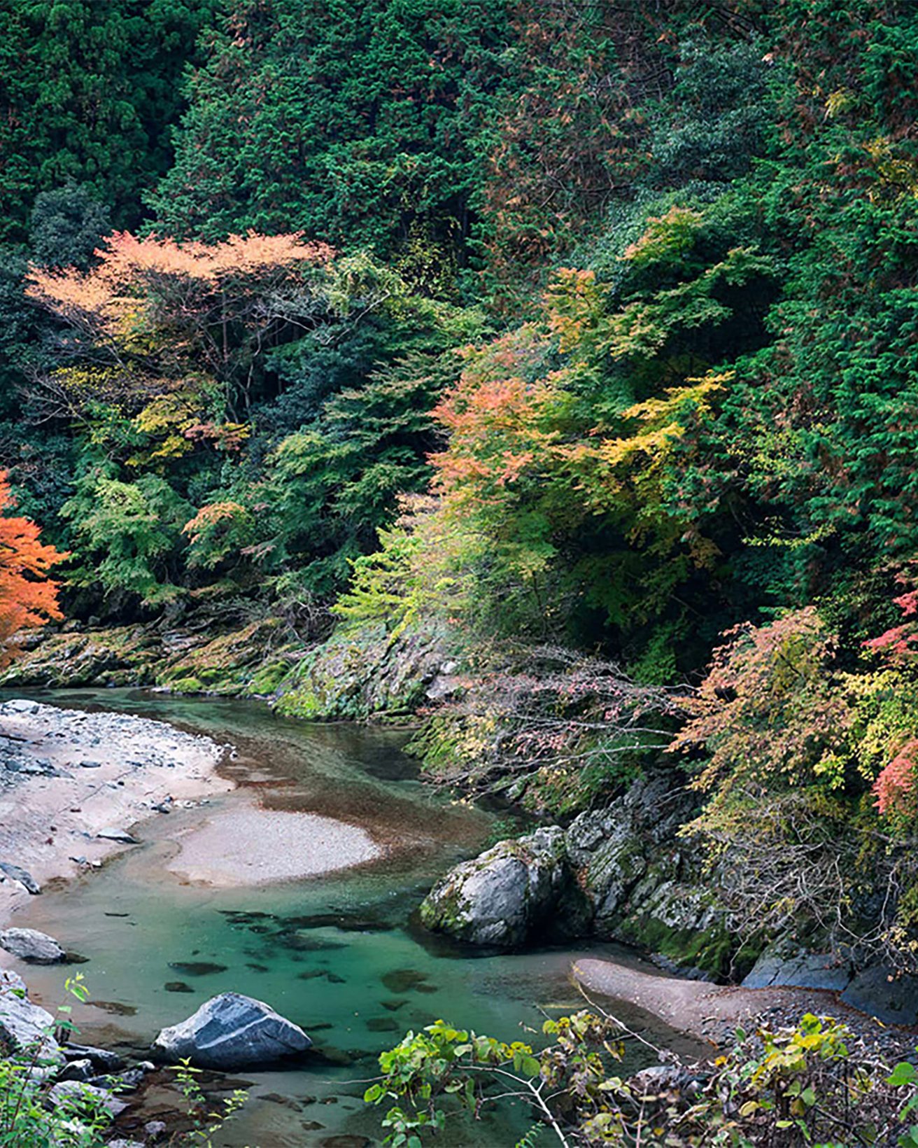 奈良・東吉野の大自然の中で、アート＆クラフトに触れる『はじまりの東