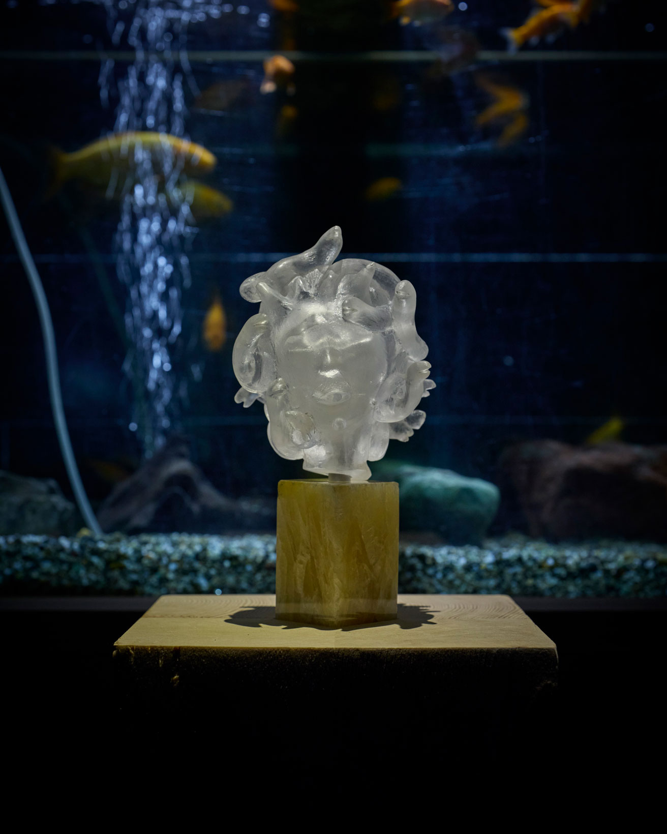 水を再生させる施設で、保良雄が見せる“循環するアート”。6日間限定の開催です。